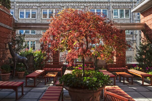 Audace Restaurant