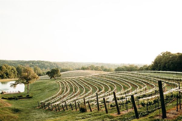 Montaluce Winery & Restaurant