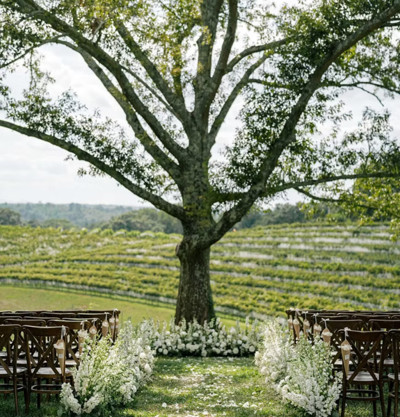 Montaluce Winery & Restaurant