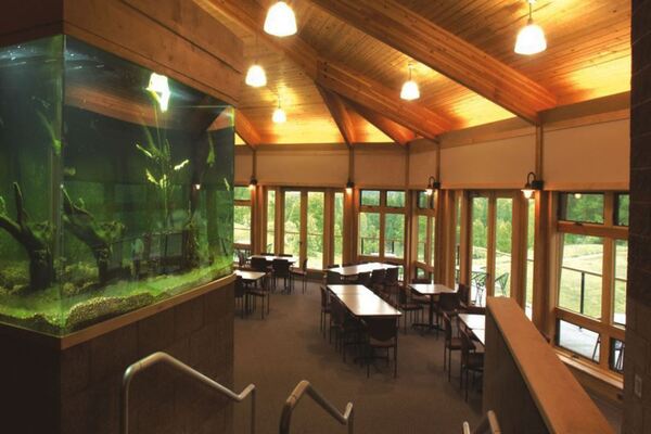 Pierce Cedar Creek Institute