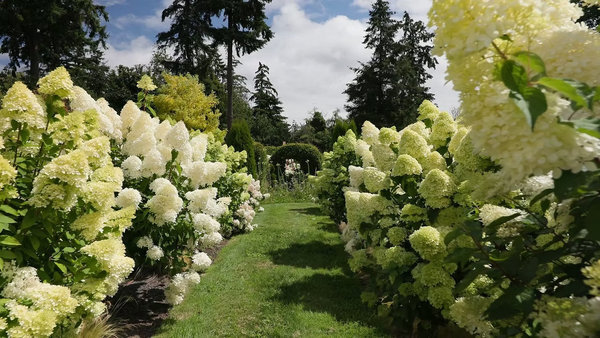 Froggsong Gardens