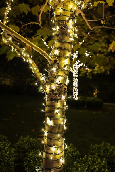 Lights Up Today