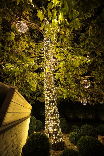 Lights Up Today