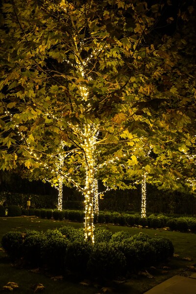 Lights Up Today