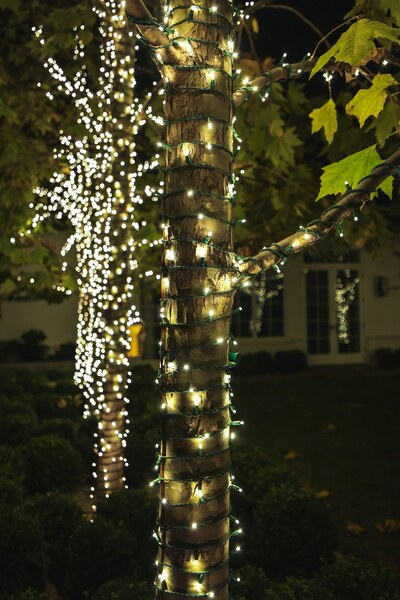 Lights Up Today