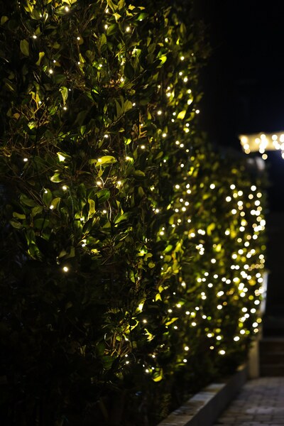 Lights Up Today