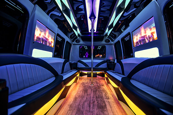 Buffalo Party Bus