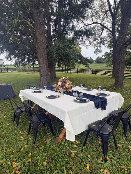 White Rabbits Hospitality
