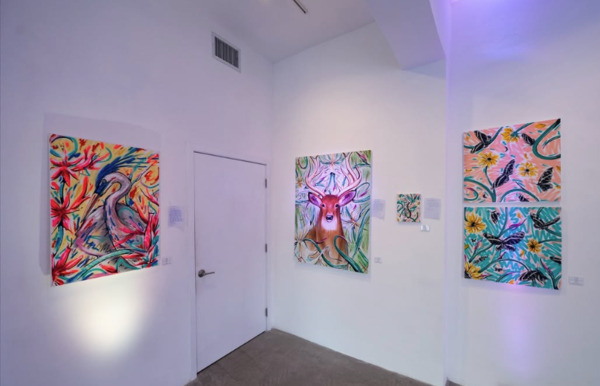 WYN 317 Gallery
