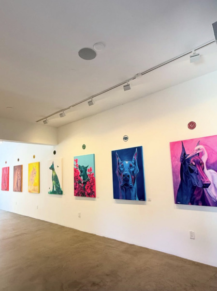 WYN 317 Gallery