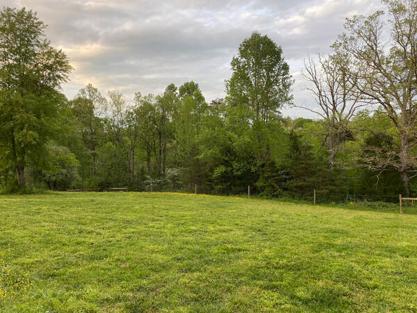 Dogwood Knoll Farm