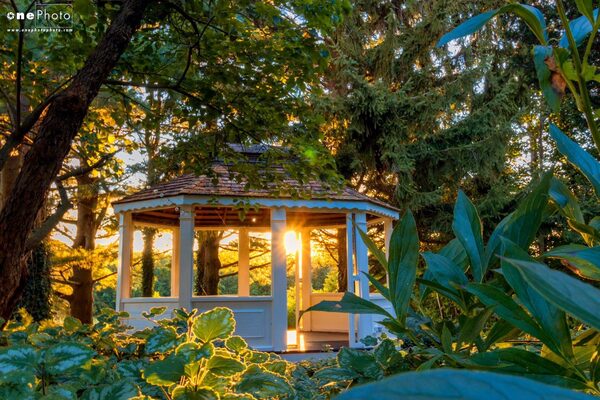 Black Creek Farm Bed & Breakfast and Venue