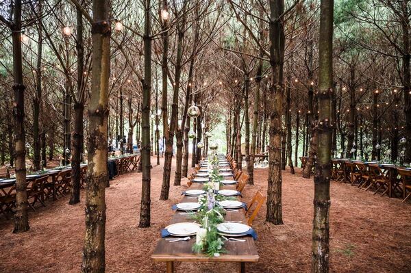Wildflower Woods