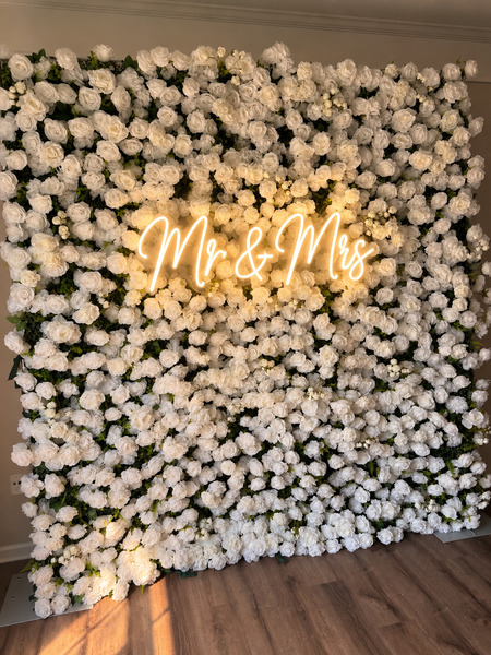 Yasmeen Backdrops