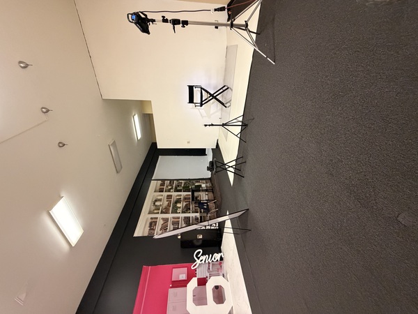 Prolific Studios