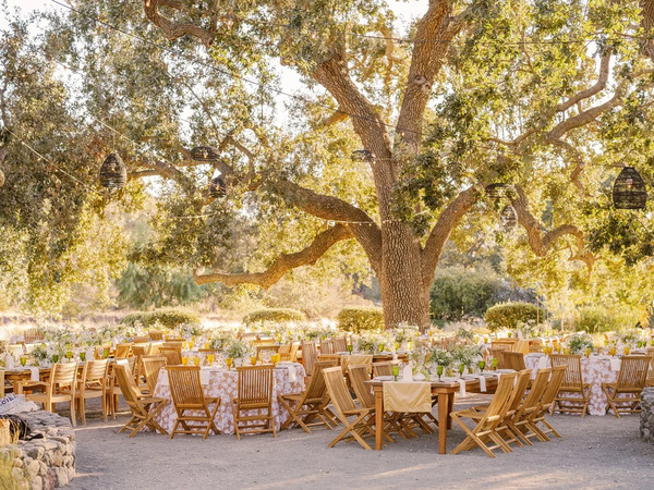 Grassini Family Vineyards