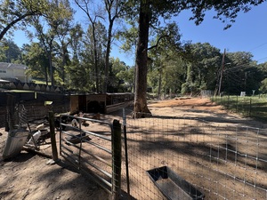 Petting zoo