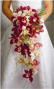 Field Of Flowers - Boca Raton