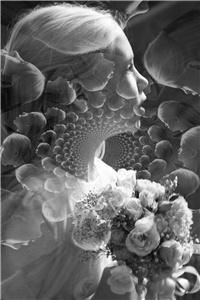 Bayline Studios - Westminster