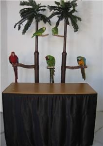 Jackpot Bird Show
