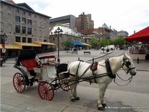 Montreal Film, Video, Photo, Event  Productions