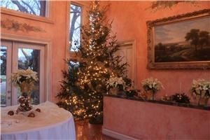 New Jersey Wedding Photographers~Videographers