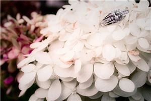 Amy Arringotn Photography