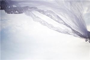 Amy Arringotn Photography