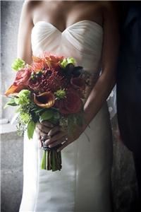 Amy Arringotn Photography