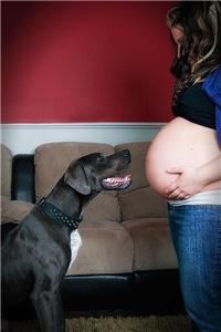 KAS Images Photography