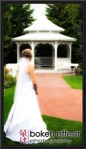 Bokeh Effect Photography :: Weddings, Events and You