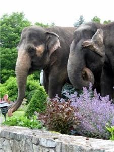 Josette's Fine Catering - Center Sandwich