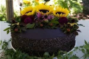 Lippincott Connections - Portsmouth