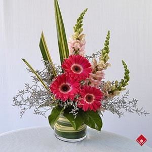The Flower Pot