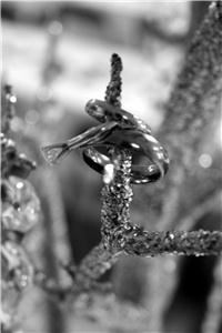 Summerford Photography - New Orleans - Houma