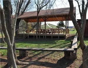 Amazing Farm Fun at Ticonderoga