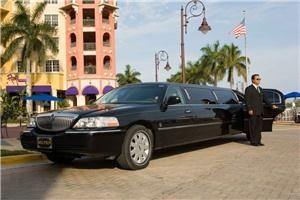 Dolphin Transportation Specialists