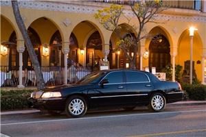 Dolphin Transportation Specialists