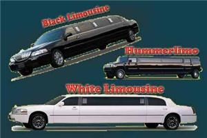 Party Bus Rental Chicago
