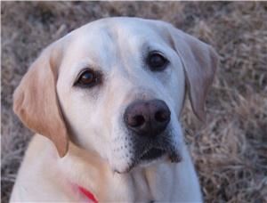 Arlene's Enchanting Portraits