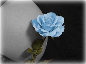 Arlene's Enchanting Portraits