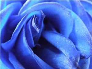 Arlene's Enchanting Portraits