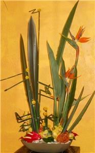 Four Seasons Flowers & Gifts