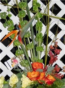 Four Seasons Flowers & Gifts