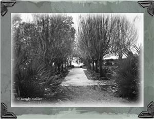 Wendy Walker Photography