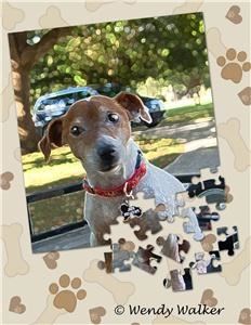 Wendy Walker Photography