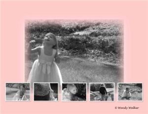 Wendy Walker Photography