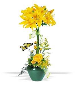 Hernando Flower Shop