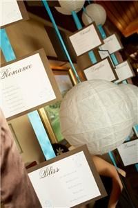 Catrina Maria Designs - Napa