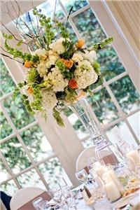 Catrina Maria Designs - Tahoe City